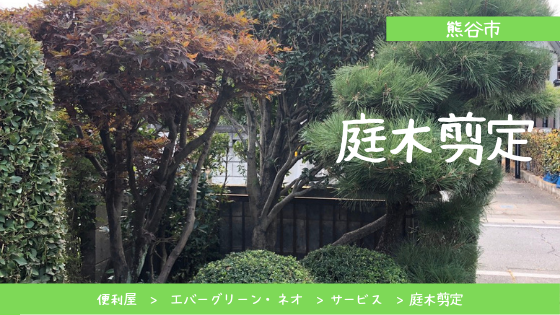 熊谷市の草木剪定 便利屋サービスの作業報告 便利屋 エバーグリーン ネオ